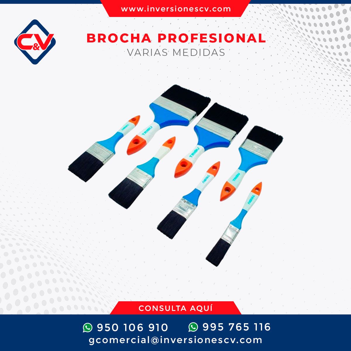 BROCHA PROFESIONAL (VARIAS MEDIDAS)